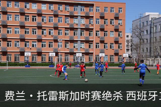 费兰·托雷斯加时赛绝杀 西班牙1-0力克阿根廷再捧大力神杯